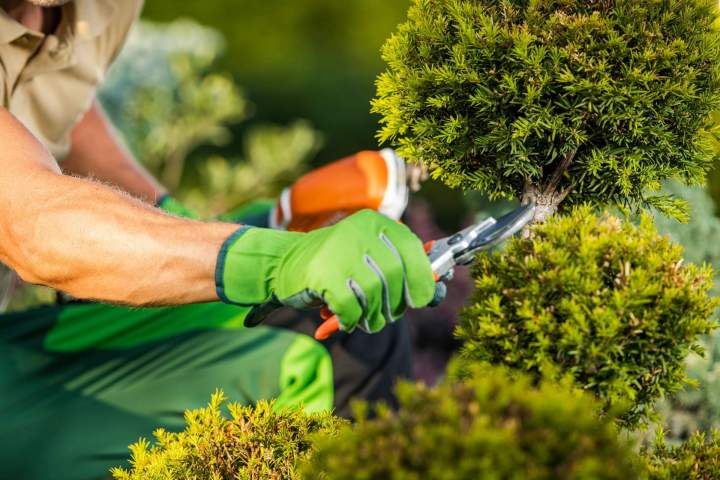 Entretien de jardin Aumale